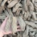 乌天麻大货批发一手货源8个500克