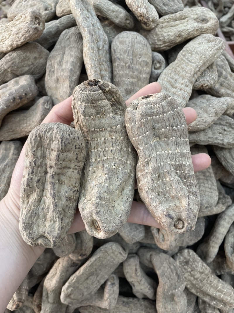 乌天麻大货批发一手货源8个500克