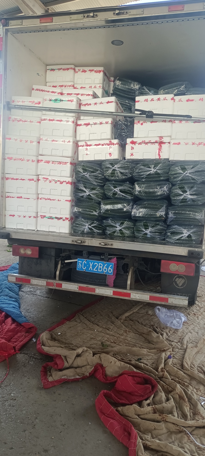 兰陵产区黄瓜大量上市中货源充足质量保证，有需要老板联系