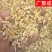 陕西薤白小根蒜野蒜泻白头新货干货含量高过筛
