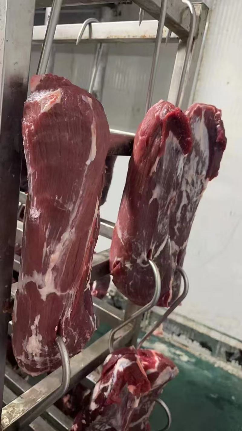 精品牛肉货源充足量大从优质量保证厂家供应欢迎咨询