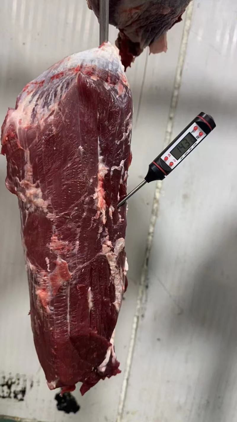精品牛肉货源充足量大从优质量保证厂家供应欢迎咨询