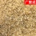 陕西薤白小根蒜野蒜泻白头新货干货含量高过筛