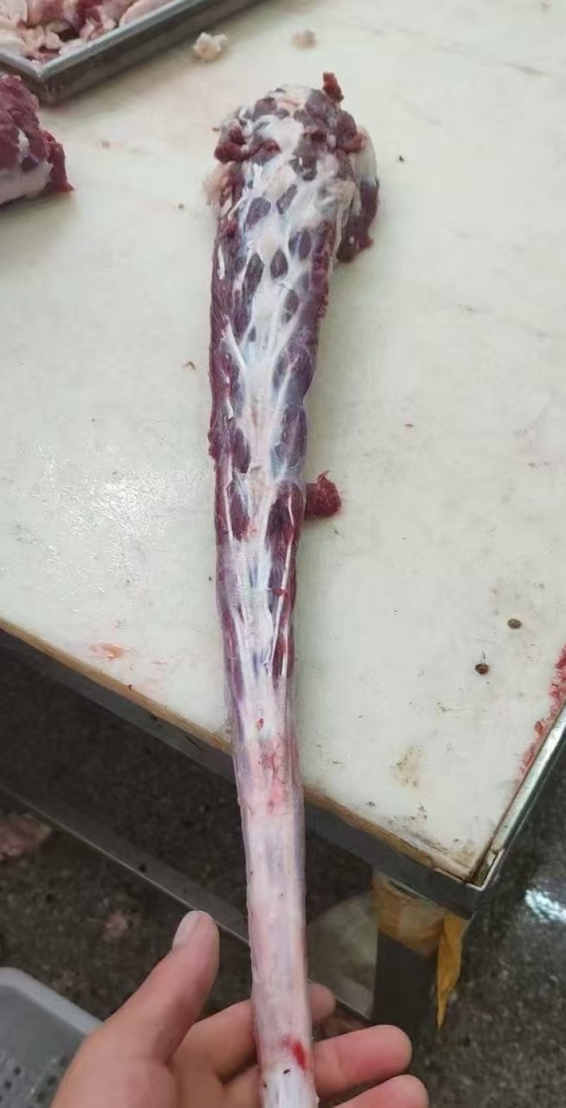 精品去根牛尾货源充足量大从优质量保证欢迎咨询