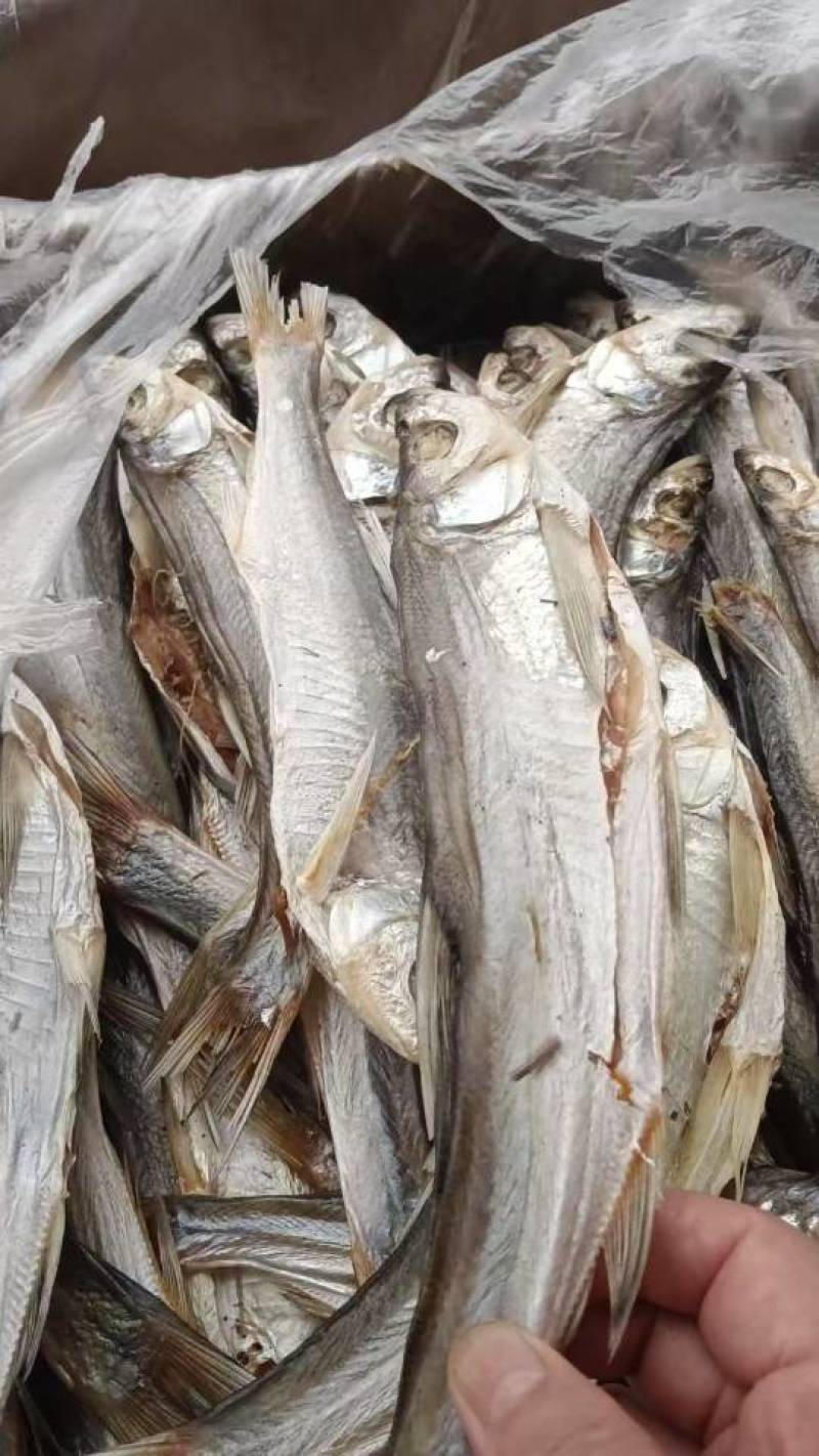 盐条子，价格便宜