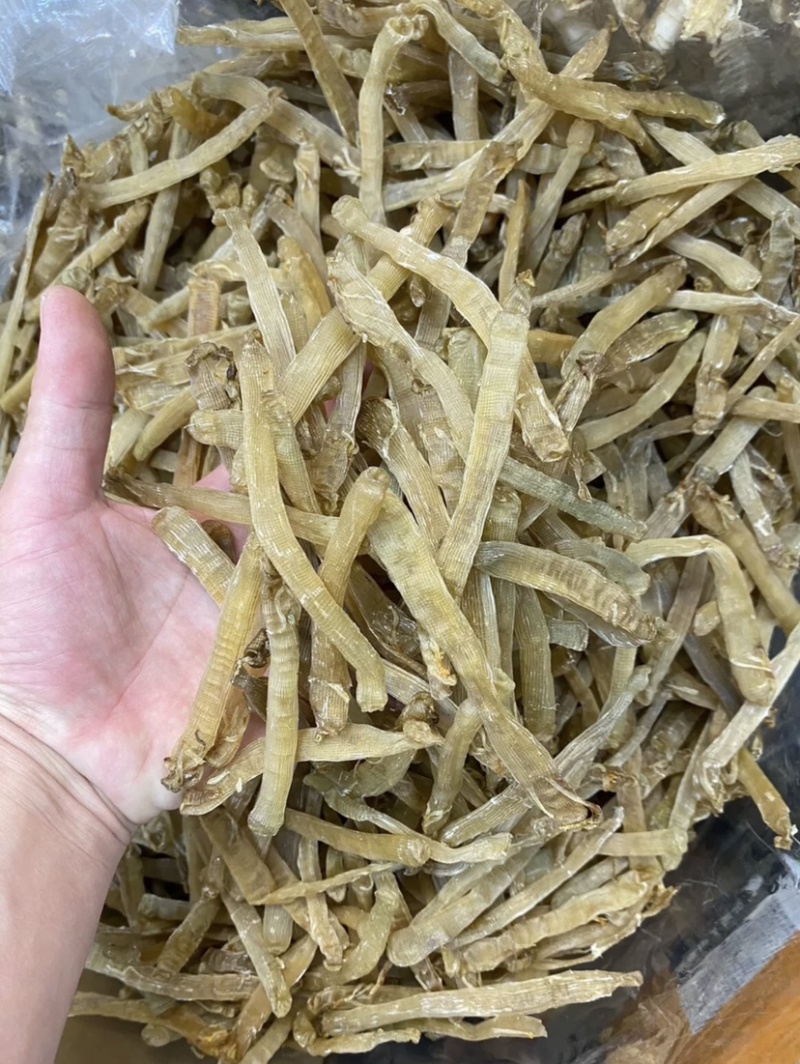 北海沙虫干