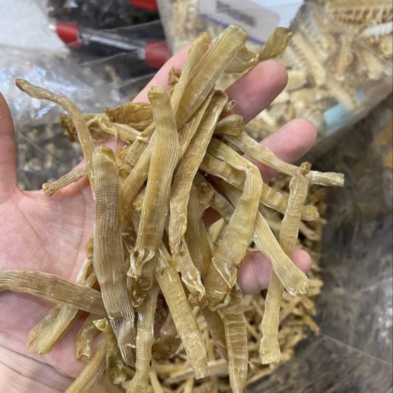 北海沙虫干