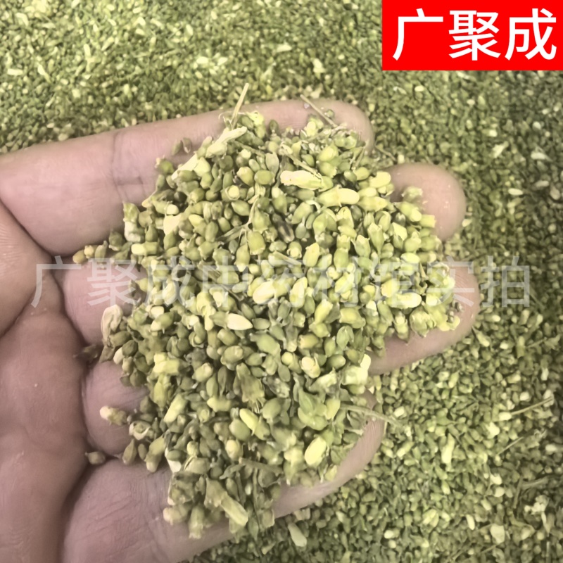 槐米国槐米手工采摘自然晾晒干度好青绿色无开花
