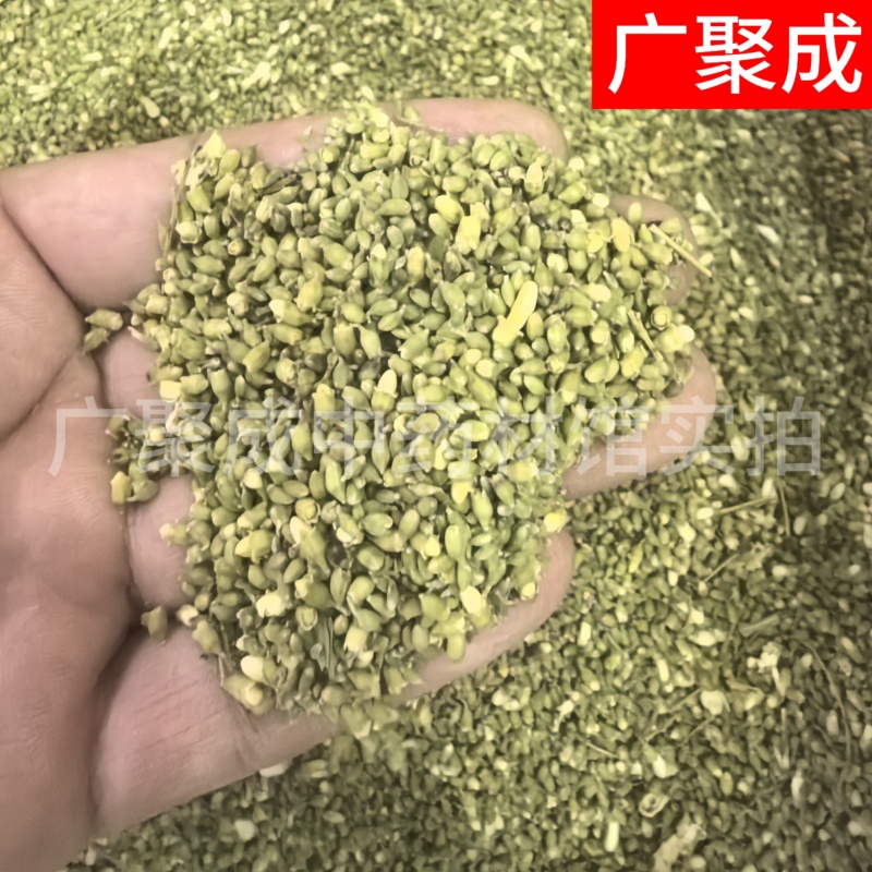 槐米国槐米手工采摘自然晾晒干度好青绿色无开花