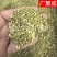 槐米国槐米手工采摘自然晾晒干度好青绿色无开花