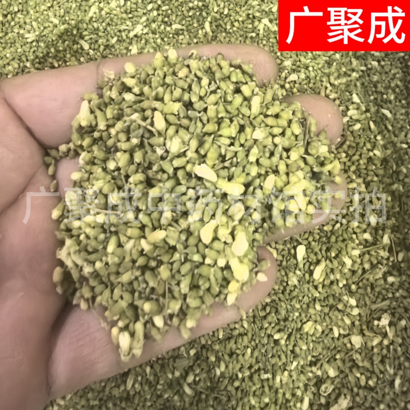 槐米国槐米手工采摘自然晾晒干度好青绿色无开花