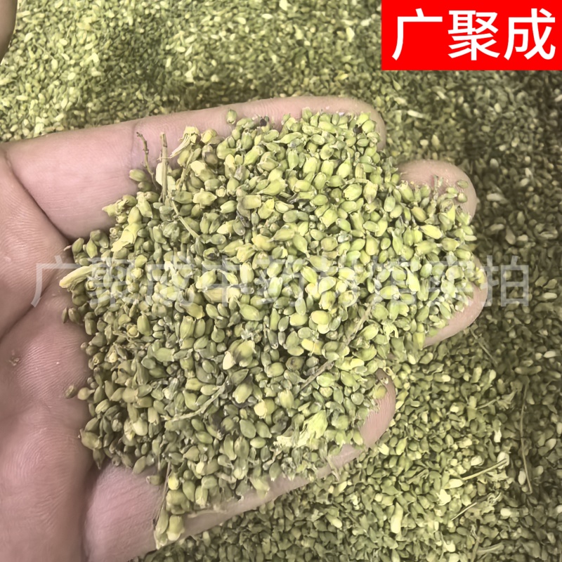槐米国槐米手工采摘自然晾晒干度好青绿色无开花