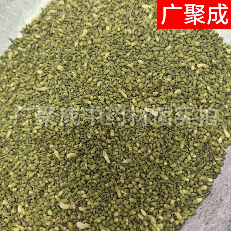 槐米国槐米手工采摘自然晾晒干度好青绿色无开花