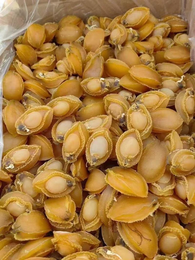 鲍鱼干