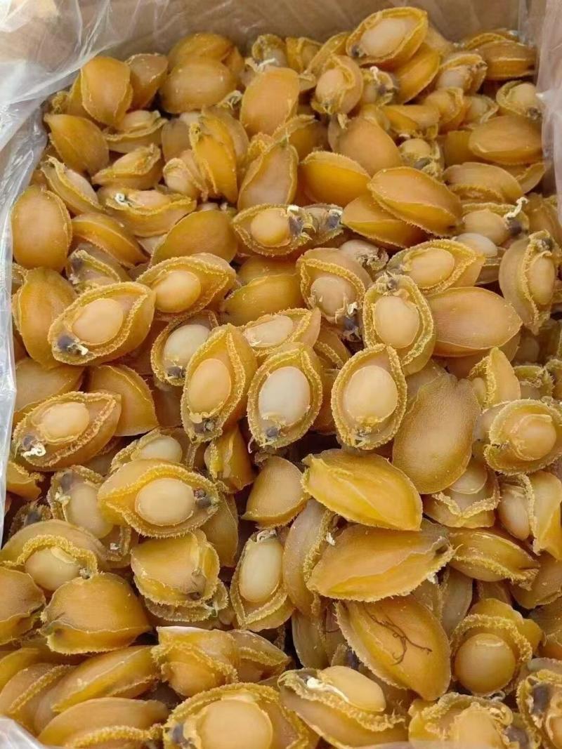 鲍鱼干