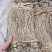 养肝草干货中药材2斤包邮量大优惠
