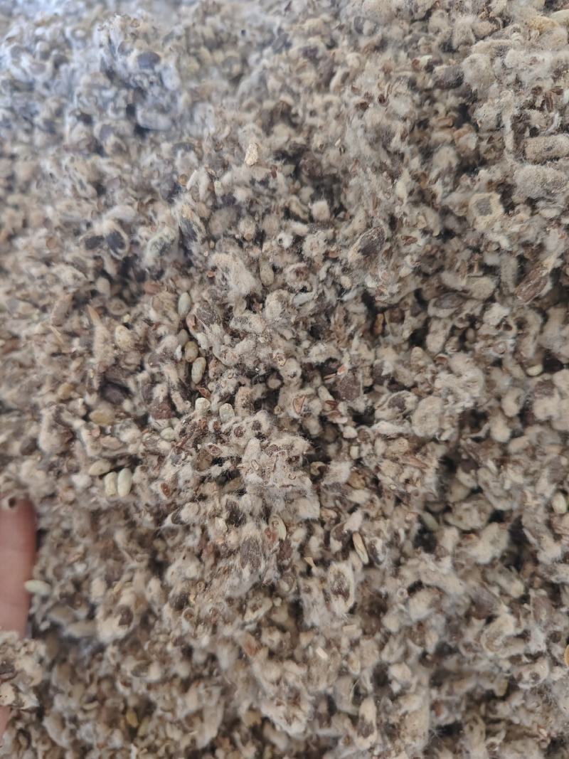 棉籽壳大量供货品质上乘货品干净欢迎来电洽谈合作