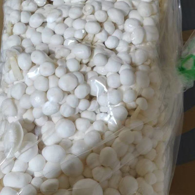 精品金针菇大量供货对接商超市场社区团购饭店等来电谈