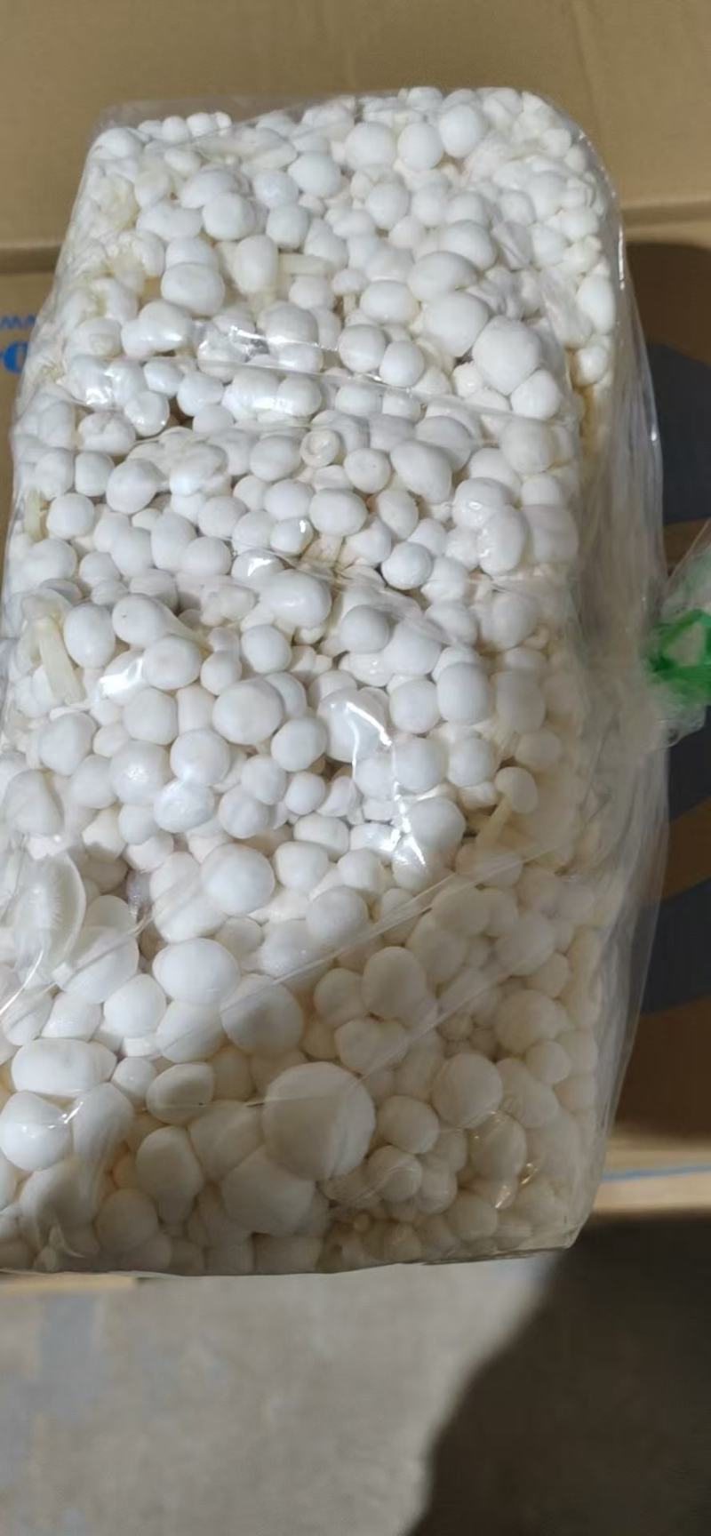 精品金针菇大量供货对接商超市场社区团购饭店等来电谈