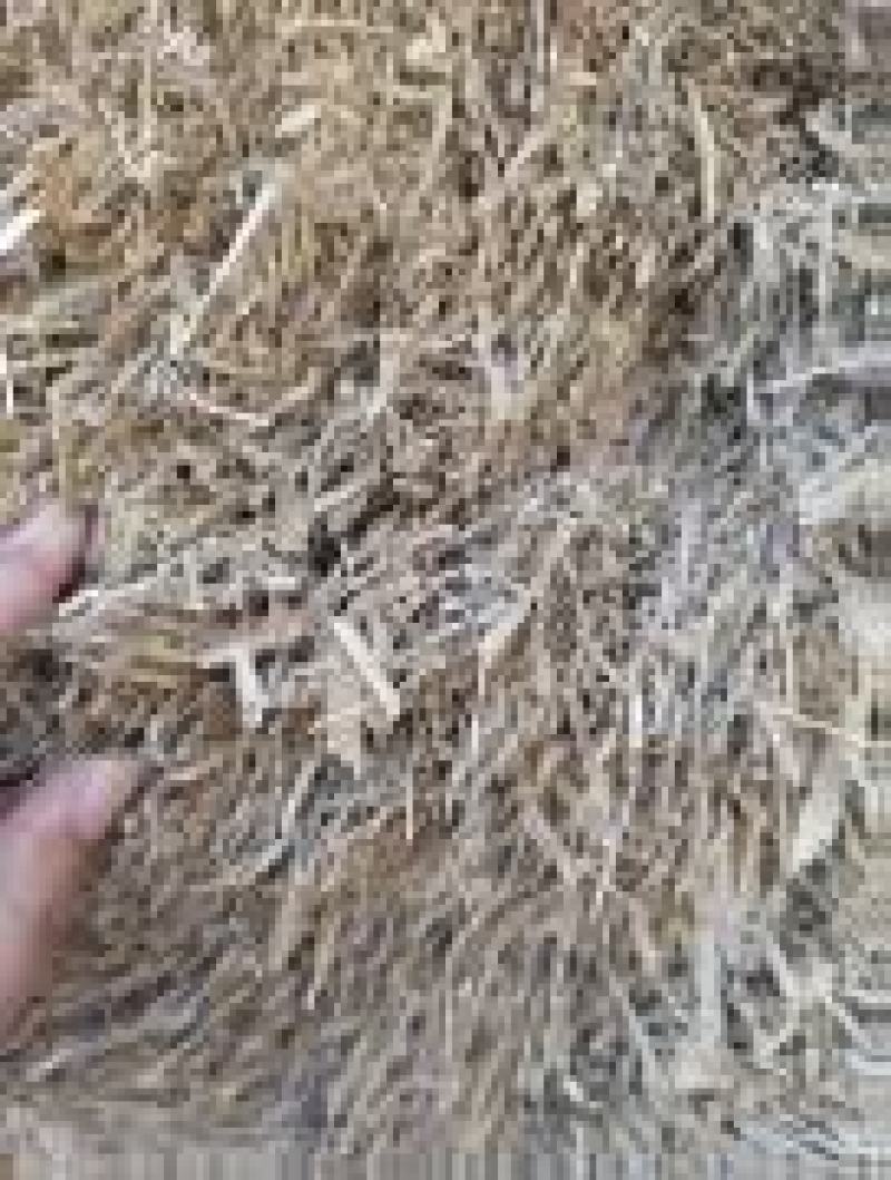 青储干草大量供应对接全国养殖户干净无渣欢迎来电