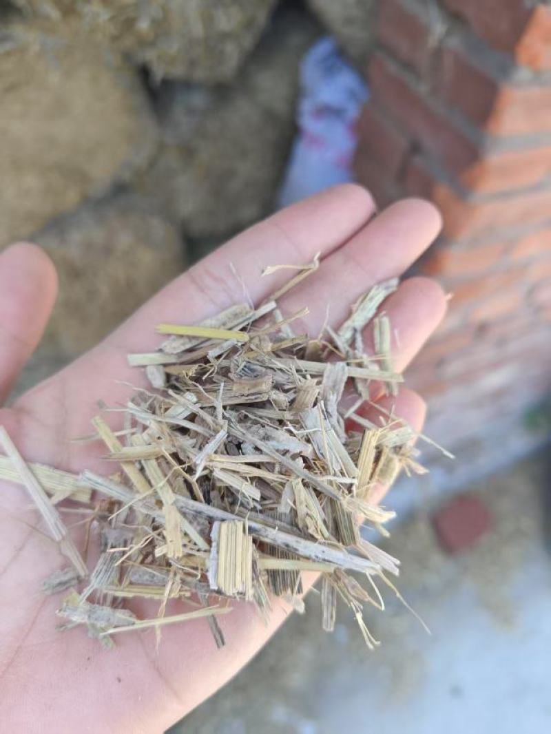 青储干草大量供应对接全国养殖户干净无渣欢迎来电