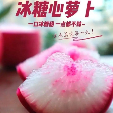 冰糖心萝卜山东潍坊精品网红水果萝卜，红皮瓤白脆甜爽口批发