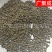 吴茱萸江西樟树新货颜色好干货无杂高含量中花药味浓香