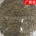 吴茱萸江西樟树新货颜色好干货无杂高含量中花药味浓香