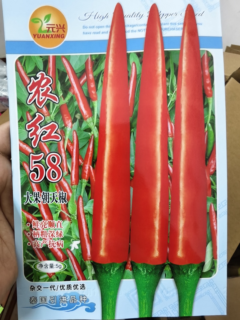 农红58大果朝天椒种子，高产抗病好管理，厂家直销，招代理