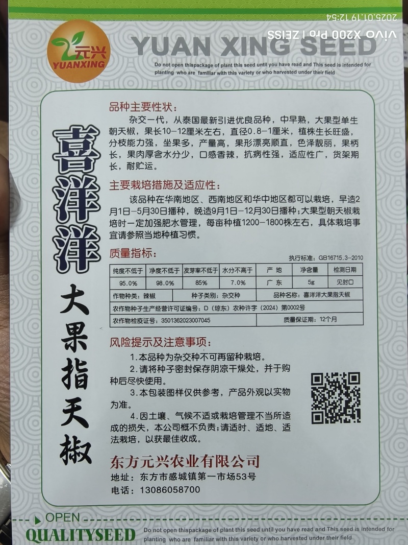 喜洋洋大果型朝天椒种子，高产抗病好管理，厂家直销，招代理