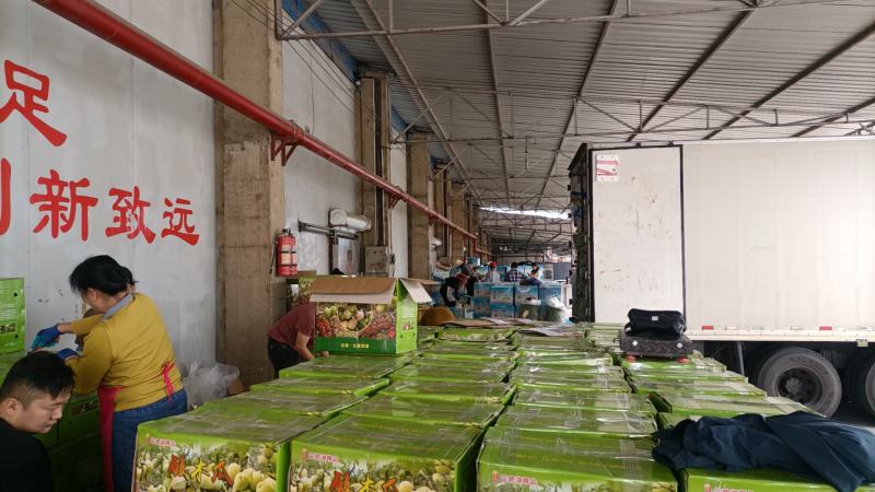 预售新鲜梅子（农历五月中旬上市）。酸木瓜7月底上市