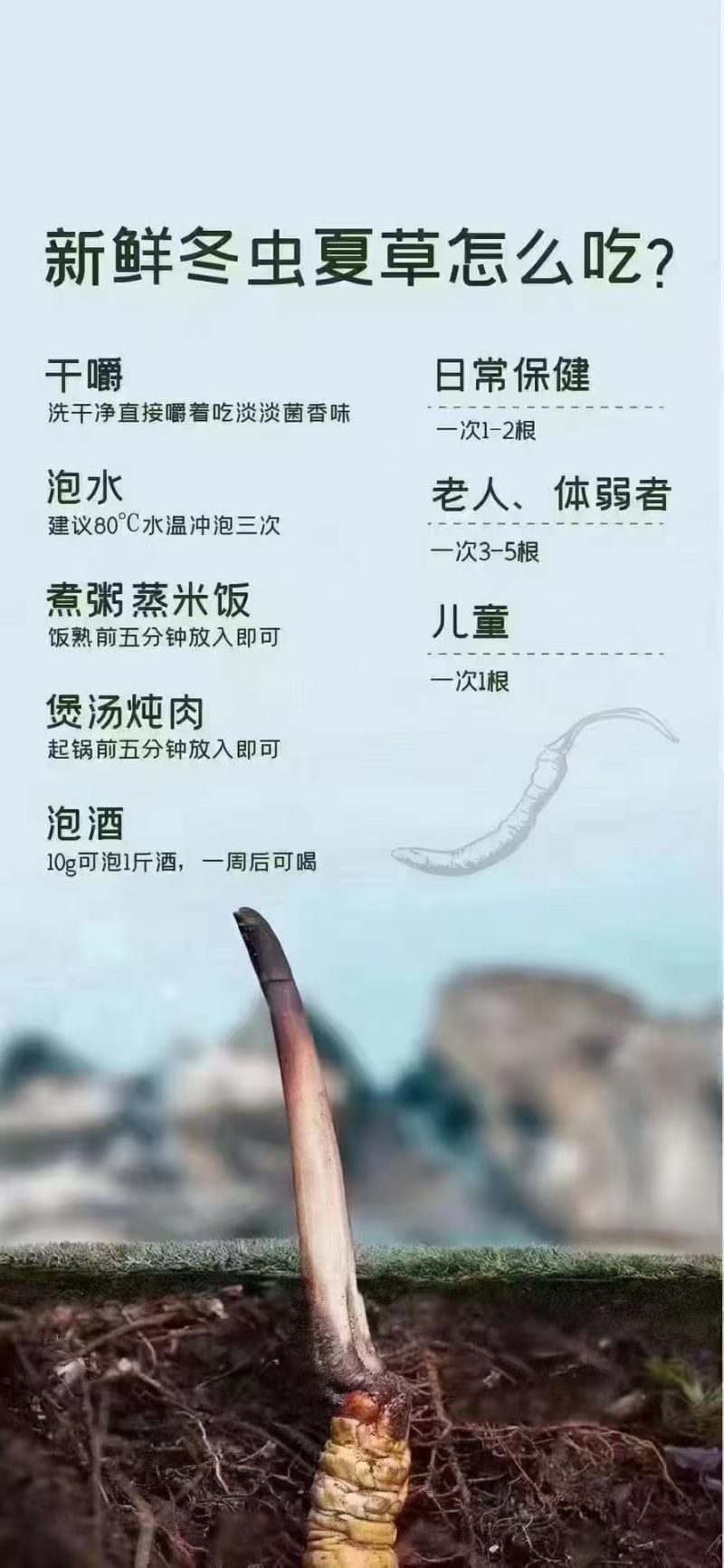 新鲜虫草大量上市，欢迎老板订购，量大从优