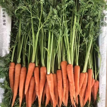 厦门翔安版田七寸
