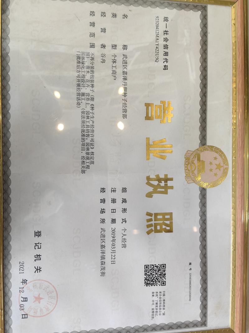 暖季型草籽