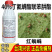 40%丁氟螨酯联苯肼酯满贯砲台湾兴农柑橘树红蜘蛛正品