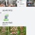 天府机场旁农场转让出租13980030187