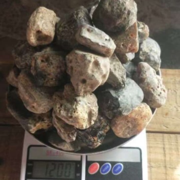 天然龙涎香抹香鲸分泌物香料/中药材
