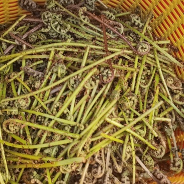 当天采摘当天发货