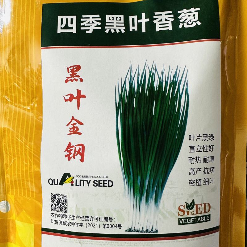 黑叶金刚黑叶香葱种子四季小香葱耐热耐寒春夏秋山东小葱种子