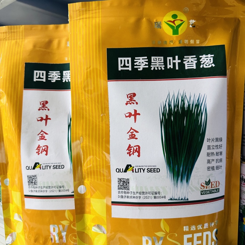 黑叶金刚黑叶香葱种子四季小香葱耐热耐寒春夏秋山东小葱种子