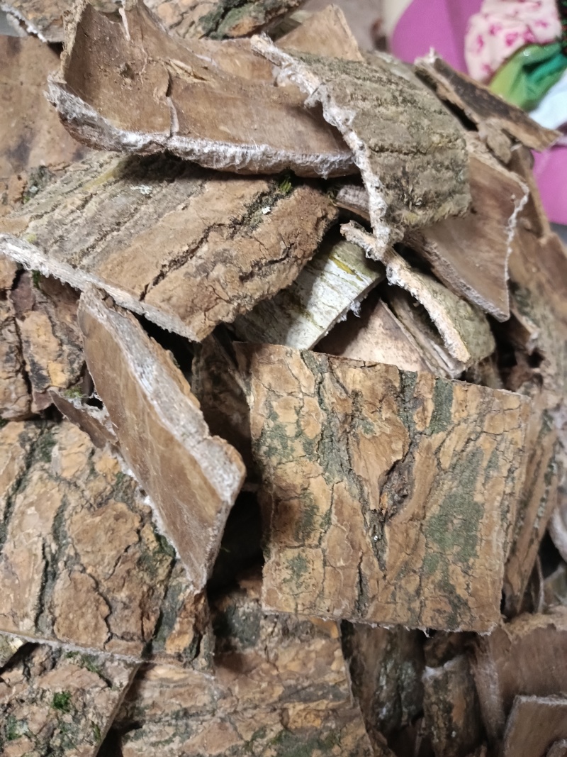 杜仲片1斤起售，杜仲板皮百斤批发，