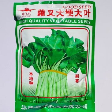 大梗大叶空心菜种子叶片肥厚春夏秋耐热耐湿大叶空心菜种子