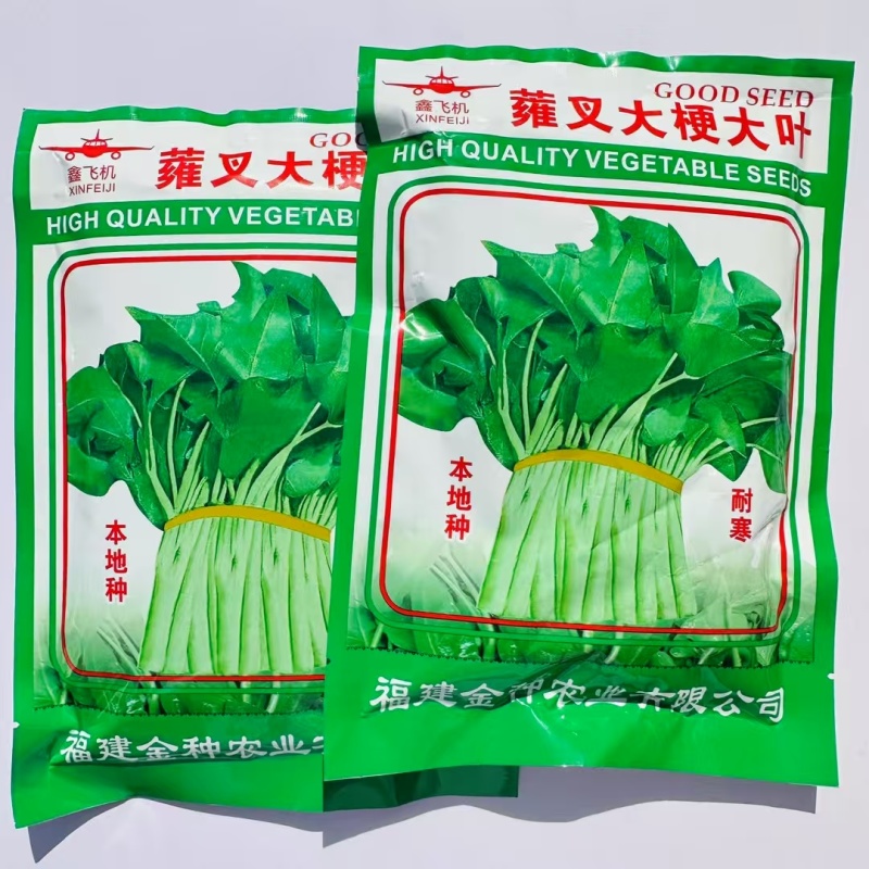 大梗大叶空心菜种子叶片肥厚春夏秋耐热耐湿大叶空心菜种子