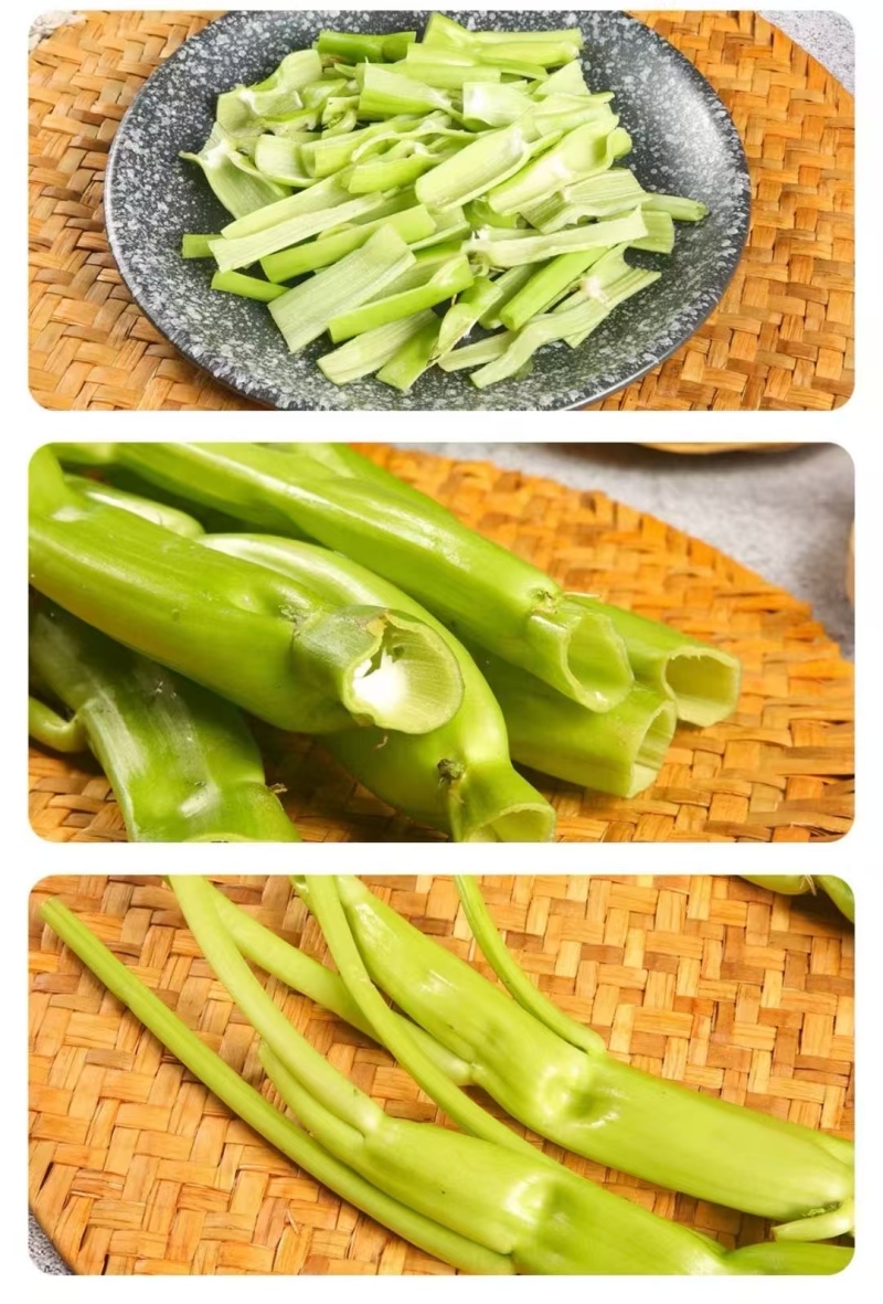 大梗大叶空心菜种子叶片肥厚春夏秋耐热耐湿大叶空心菜种子