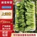 河南上海青/商丘油菜/-对接商超市场量大从优