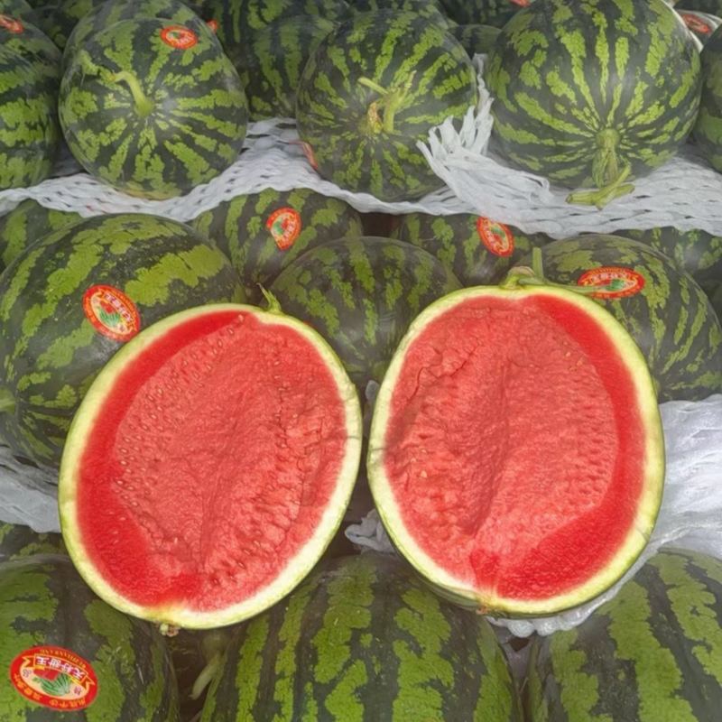 陕西西瓜，甜王西瓜🍉大量上市中，品质保证，物美价廉