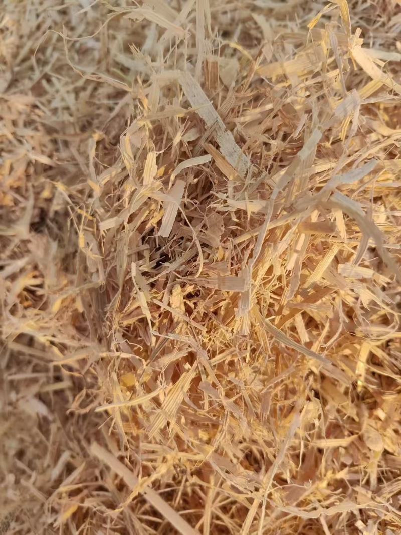 玉米秸秆大量供货打包好的支持视频看货欢迎来电