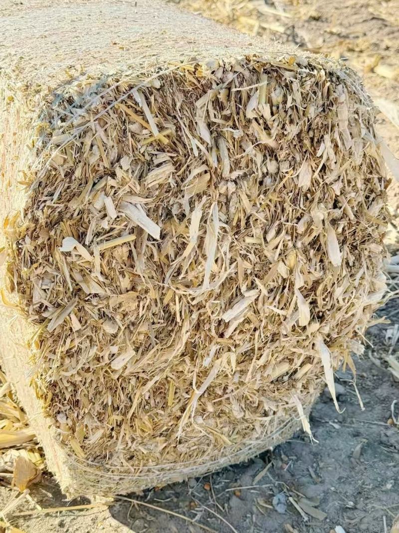 玉米秸秆大量供货打包好的支持视频看货欢迎来电