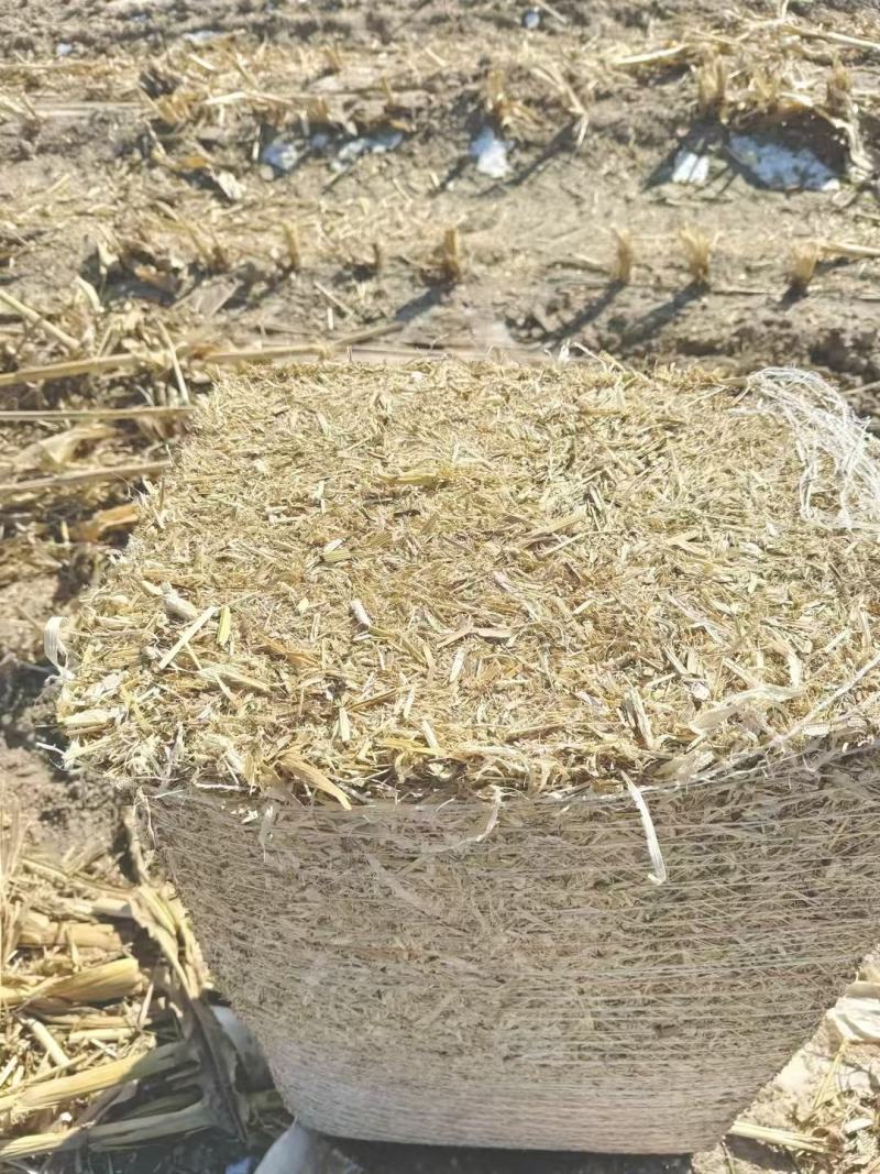 玉米秸秆大量供货打包好的支持视频看货欢迎来电