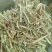 花生秧段花生叶粉大量上市产地直发价格优惠欢迎来电